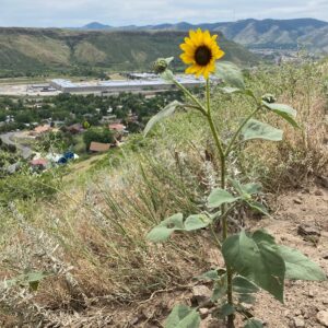 Sean Larkin Instagram - Rocky Mountain high