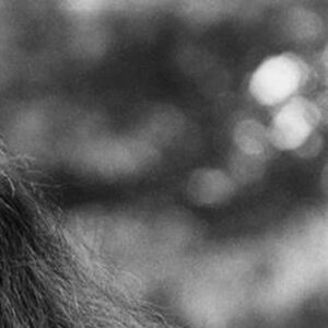 Sean Ono Lennon Instagram - 