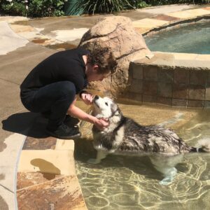 Sean Ryan Fox Instagram - Goof ball #lovemydog