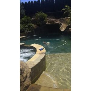 Sean Ryan Fox Instagram - Pool day with my boys🐶🏊🏻