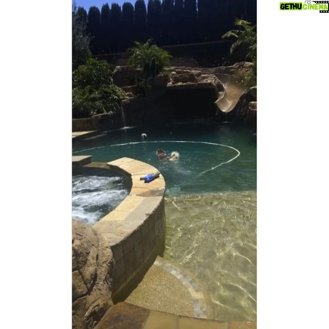 Sean Ryan Fox - 5.5K Likes - Pool day with my boys🐶🏊🏻
