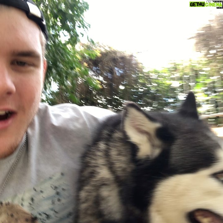 Sean Ryan Fox - 42.5K Likes - Rest In Peace Thor
Been about a month now and I’ve been sitting on it thinking whether or not to say something but here we are… love you buddy.