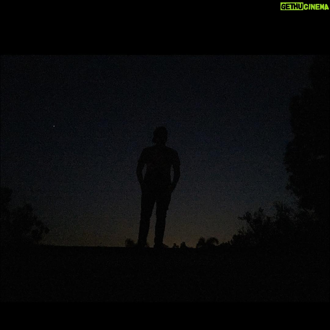 Sean Ryan Fox - 12K Likes - February 8th