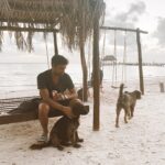 Sean Teale