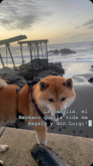 Sebastián Sichel Instagram - 