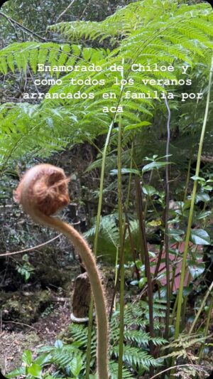 Sebastián Sichel Instagram - 