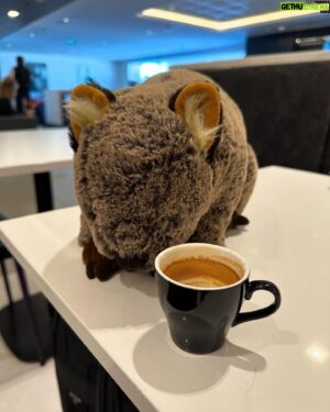 Sébastien Lefebvre Instagram - Post Australia tour picture dump!
I had fun everyday, thanks for hanging out.
#wombats #aquarium #coffee
