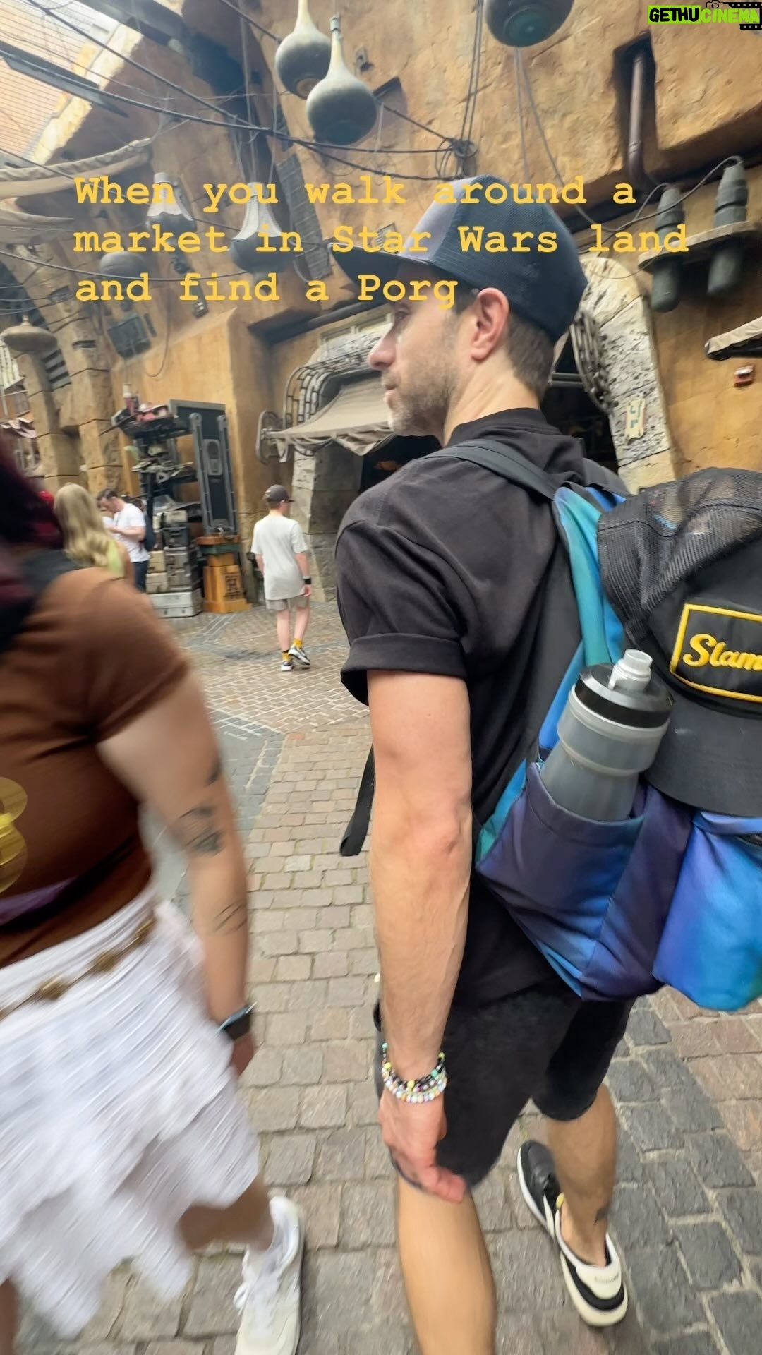 Sébastien Lefebvre - 1.9K Likes - Porg love.
Thanks @waltdisneyworld for an amazing weekend once again
#starwars #porg #epcot