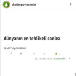 Şebnem Dilligil