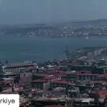 Şebnem Dilligil