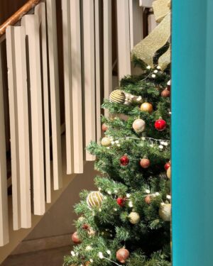 Seher İzgi Instagram - Yılbaşı temalı post olmadan yıl bitmiyormuş 🥹🎄