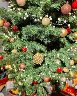 Seher İzgi Instagram - Yılbaşı temalı post olmadan yıl bitmiyormuş 🥹🎄