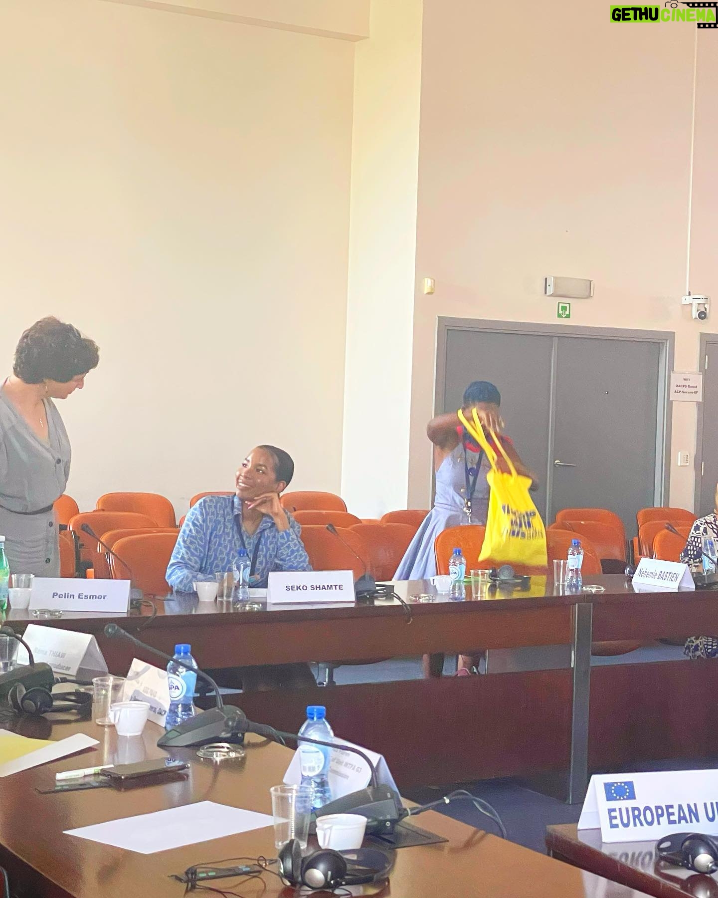 Seko Shamte - 2.7K Likes - Day 3 in Belgium for @ellestournent Thank you so much to @euintanzania and the Belgium embassy in Tanzania for this honor. So happy to meet amazing women filmmakers from around the world and propose strategies to increase the capacity of women filmmakers globally.