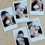 Seo Bum-june