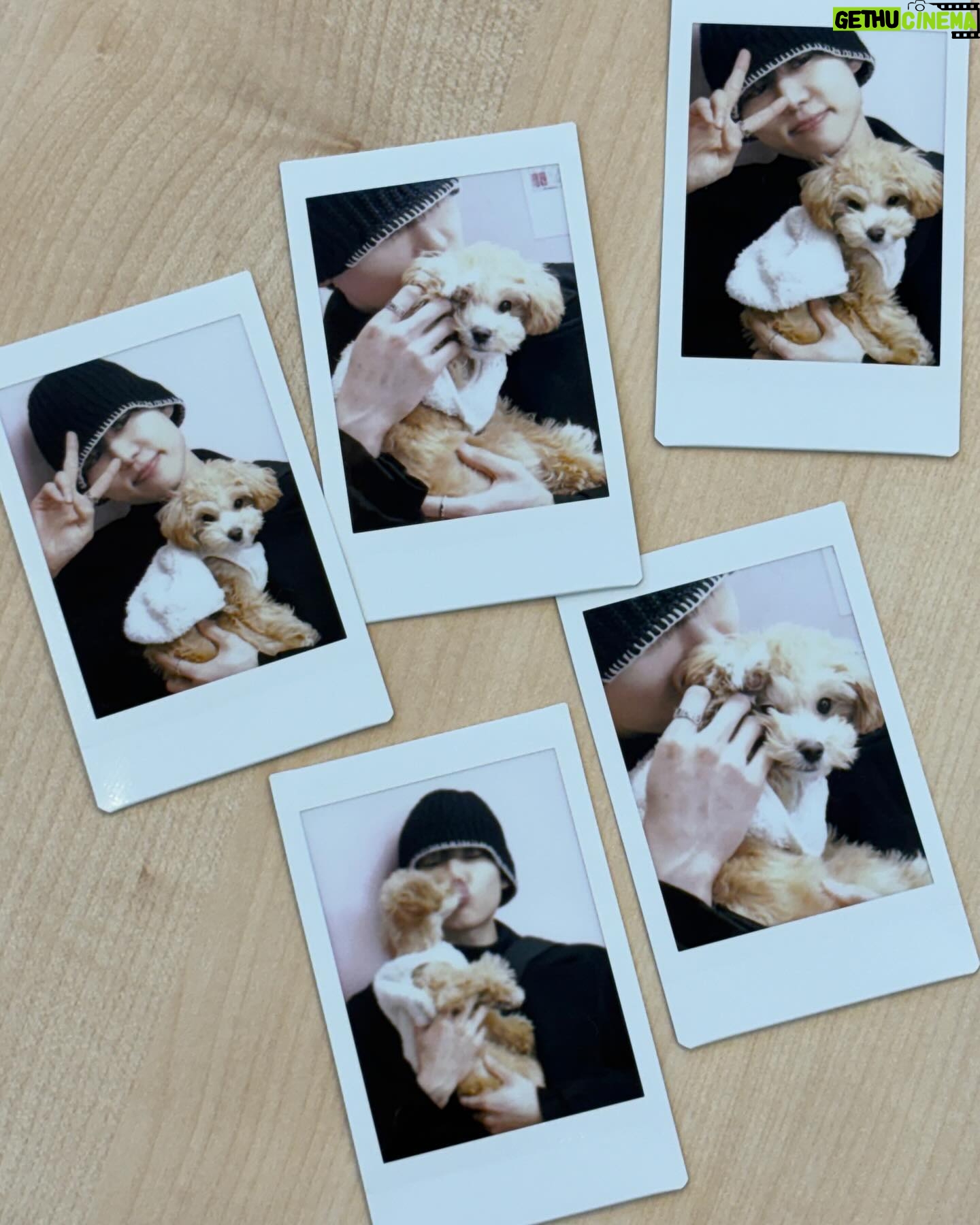 Seo Bum-june - 22.7K Likes - 몽드랑