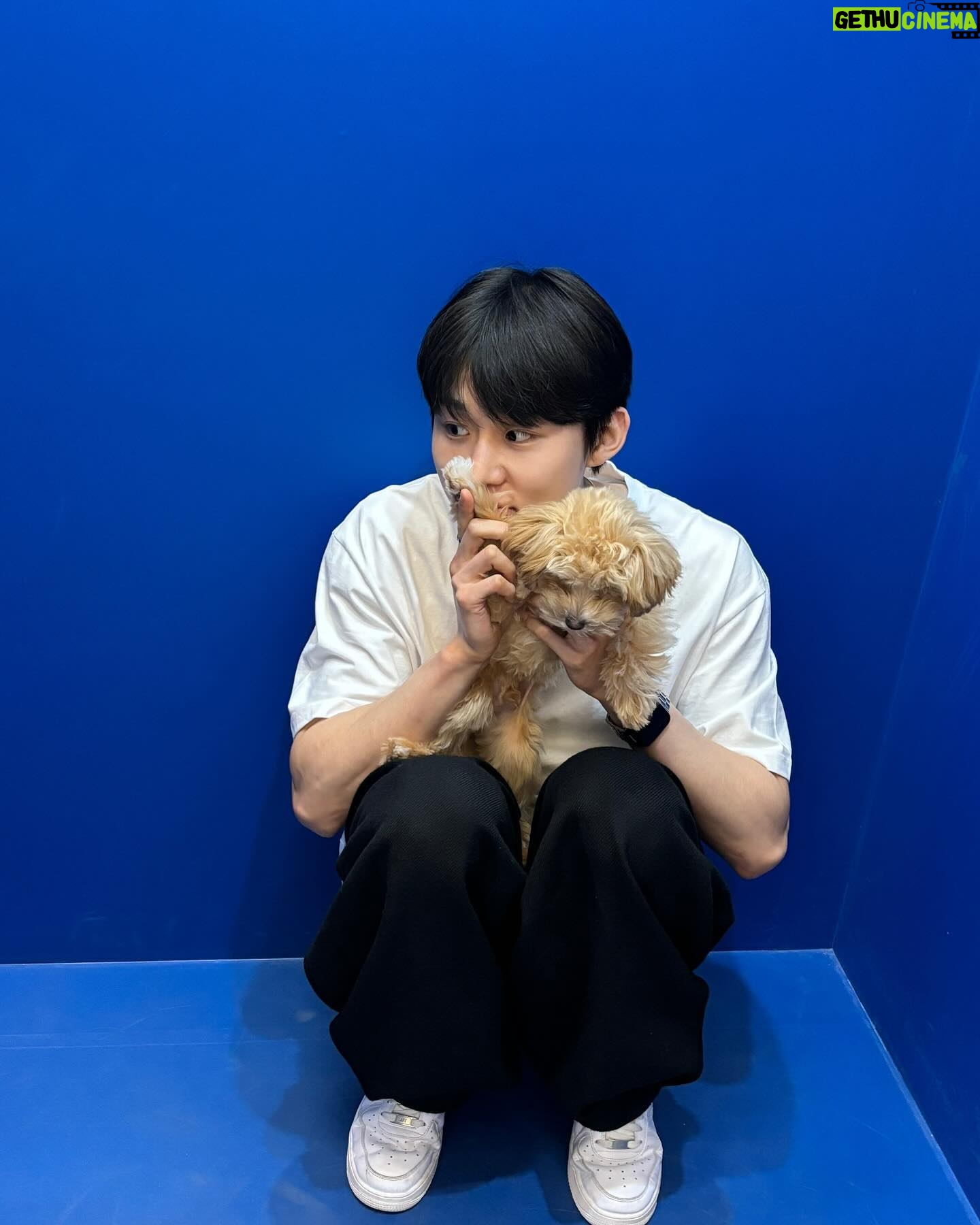Seo Bum-june - 22.7K Likes - 몽드랑