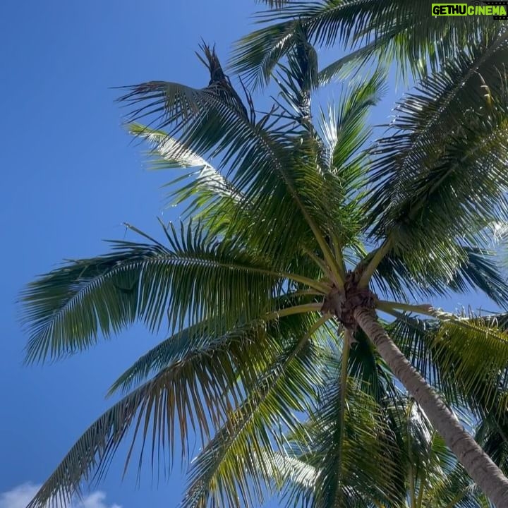 Sercan Badur - 2.1K Likes - Miami Beach, FL 33140, USA