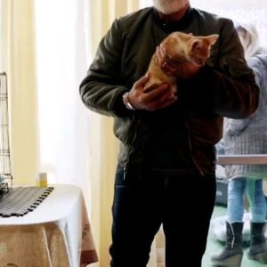 Sergi Arola Instagram - Comparto el anhelo del @clubgatero de soñar con una ciudad sin gatos abandonados...!!!! mientras llega ese día, aportando un granito de arena, potenciando la #adopcionresponsable y por supuesto velando por la mejor alimentación de los Michis. 
Como chef y Michipapa, lo tengo muy claro... aqui los gatitos disfrutando como siempre su @leonardocatfoodchile

Muchas gracias!