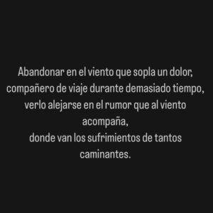 Sergio Mur Instagram - Abandonar en el viento que sopla un dolor,
compañero de viaje durante demasiado tiempo,
verlo alejarse en el rumor que al viento acompaña,
donde van los sufrimientos de tantos caminantes.

O T O Ñ O