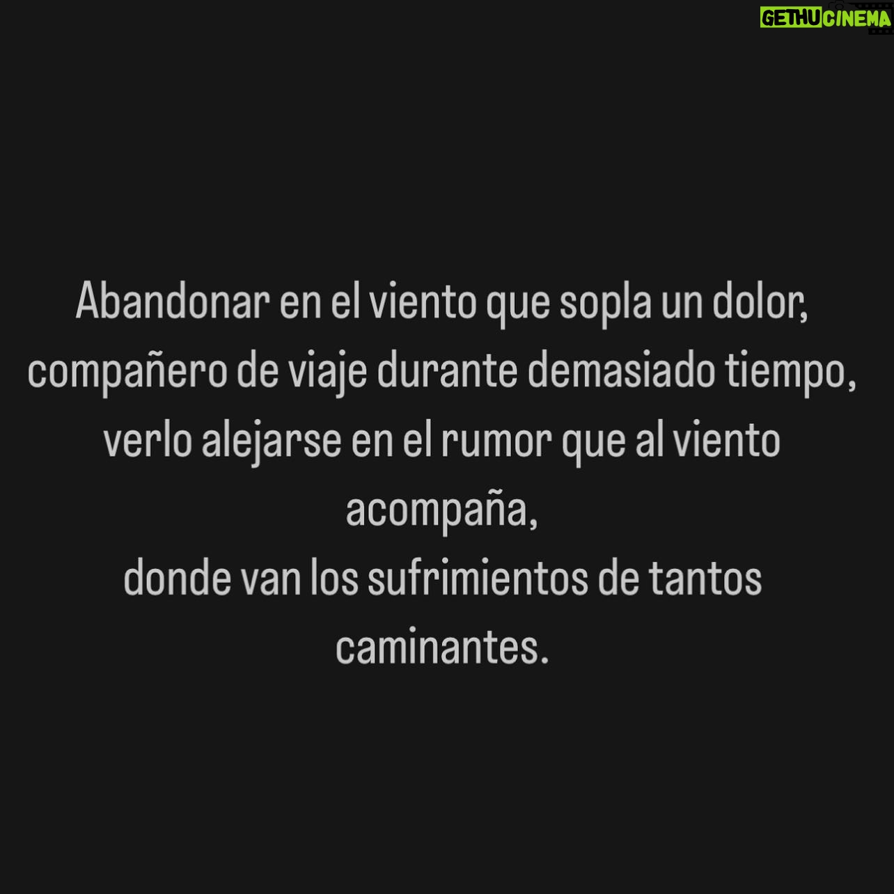 Sergio Mur - 3 Likes - Abandonar en el viento que sopla un dolor,
compañero de viaje durante demasiado tiempo,
verlo alejarse en el rumor que al viento acompaña,
donde van los sufrimientos de tantos caminantes.
O T O Ñ O