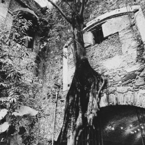 Sergio Mur Instagram - La historia escrita en piedra. Esta serie de capturas han sido tomadas entre las haciendas de Chinconcuac, construida y habitada por Martín Cortés Nezahualtecólotl, hijo de Hernán Cortés y la Malinche/Malintzin, y de San Antonio El Puente en Xochitepec, México.