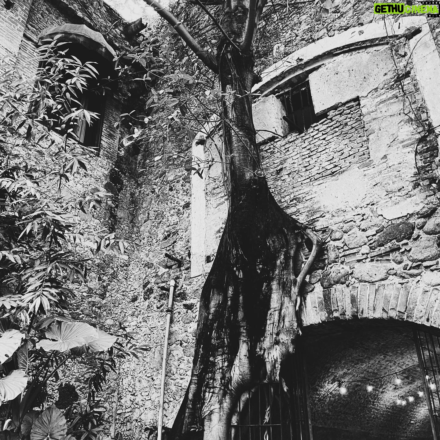 Sergio Mur - 3 Likes - La historia escrita en piedra. Esta serie de capturas han sido tomadas entre las haciendas de Chinconcuac, construida y habitada por Martín Cortés Nezahualtecólotl, hijo de Hernán Cortés y la Malinche/Malintzin, y de San Antonio El Puente en Xochitepec, México.