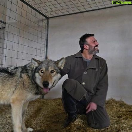 Serhat Kılıç - 8.1K Likes - Mavzer, benim için önemli bir hikâye... 🐺
Üç yıl önce Niğde’de kalın bir kar örtüsüyle kaplı dağlara vahşi kurtlarla tırmanırken bütün zorlu çekim koşullarına rağmen tek motivasyonum, filmin hikayesiydi.
Bir kurdun ailesini vurarak karşılığında mavzer edinmenin peşine düşen Veysi, kurdun mutlaka intikam almak için geri geleceği uyarılarına kulağını tıkamıştır adeta. Çünkü artık iyi bir mavzeri vardır. Korkacak bir şey yoktur. Oysa içindeki bunca hırsın ve öfkenin, kendine yönelttiği bir silah olduğunun farkında bile değildir.
Doğanın intikam gibi, savaş gibi kirli ve yıkıcı duyguları yoktur. İnsan kime her ne yapıyorsa onunla kendini sınıyordur sadece. Başkasına zarar verdiğini düşünerek kendi yıkımını hazırlıyordur.
Bu çok önemli yüzleşmeyi bence bir kez daha gerçekleştirelim kendi içimizde.
Filmde emeği geçen herkese, tek tek teşekkür ederim.
Hepinizin yüreğine sağlık 🙏
Oyunculuk hayatım boyunca en büyük hayalim bir gün Game of Thrones dizisinin oyuncularıyla kamera karşısına geçmekti ki sonunda bu da oldu. 😉
Filmde rol alan kurtların, özellikle de Türkiye’ye gelişini iki yıl beklediğimiz dünya çapında şöhret sahibi kurt Nelson’un, Game of Thrones’taki yüksek performansından sonra benimle aynı filmde buluşmayı kabul etmesi ne büyük onur, anlatamam. 🙃
İnsanlarda bulamadığım sıcaklığı karların koynunda kurtlarda buldum diyebilirim. Anladım ki okul yıllarımda bana “Sahne hayvanı” lakabını takmaları da boşuna değilmiş. Sen nelere kadirsin hayat... Bütün imkânsızılar doğru zamanı gelince mümkün olabiliyormuş meğer. 🙃
Ayrıca gala gecesinde kurtlardan daha çekici görünebilmem için Giovane Gentile markasını seferber eden, elinden geleni ardına koymayan sevgili dostum Mehmet Besli'ye de teşekkür ederim.
Iyi ki varsınız🤘
Filmi izleyerek daha da değerli kılacak olan sizler de öyle...
Keyifli seyirler📣