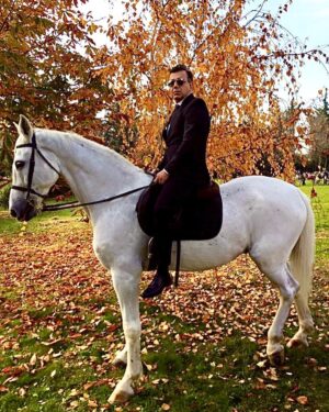 Serhat Midyat Instagram - Beyaz atlı prens..