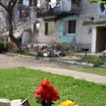 Serhiy Zhadan - 8K Likes - В Ізюмі квітнуть дерева. Перша ніжна зелень пробивається крізь руїни та покручі горілої російської техніки. Делікатний яблуневий квіт контрастує з яскравим кольором штучних пелюсток на невеличких меморіалах з фотопортретами загиблих. Одинадцята весна війни.