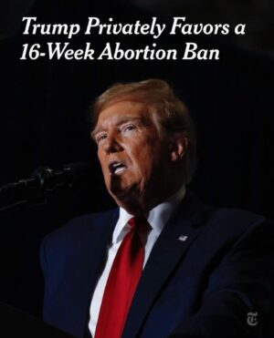 Seth MacFarlane Instagram - Roe v. Wade got it right. Then a former reality show host came along and stuffed the Supreme Court with activist judges who upended 50 years of precedent. Make no mistake: a nationwide ban is still on the table with this guy and his crowd. Don’t reward him in November.