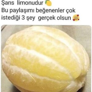 Sevtap Parman Instagram - Mutlaka beğenin.👍🙏
