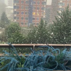 Sevtap Parman Instagram - Hasretle beklediğimiz kar sonunda geldi.İstanbul belediyesi sokakta yaşamak zorunda olan insanlar ve hayvanlar için önlemlerimizi aldık dedi.Benimde içim rahatladı.😊❄❄❄❄❄❄❄❄❄☃️☃️☃️☃️☃️☃️☃️☃️☃️ #kar #istanbul #kadıköy #bağdatcaddesi