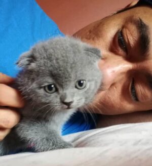 Sham Visa Instagram - Stress nak hafal lirik lagu rap ni, abg sham rehat jab layan kucing kesayangan. Nak serap semangat kucing utk senang nak hafal.. 😬😭
.
#MindOrder #MindOrderManagement #ShamVisa #ShamxMindOrder #ShamGV19 #GegarVaganza2019 #GV6 #shamvengers @shamvengers @mindorder