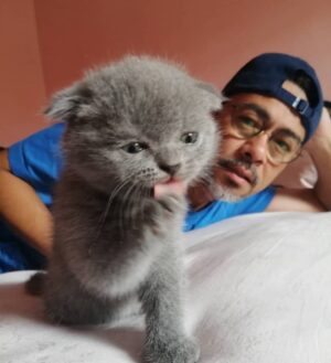 Sham Visa Instagram - Stress nak hafal lirik lagu rap ni, abg sham rehat jab layan kucing kesayangan. Nak serap semangat kucing utk senang nak hafal.. 😬😭
.
#MindOrder #MindOrderManagement #ShamVisa #ShamxMindOrder #ShamGV19 #GegarVaganza2019 #GV6 #shamvengers @shamvengers @mindorder