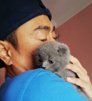 Sham Visa Instagram - Stress nak hafal lirik lagu rap ni, abg sham rehat jab layan kucing kesayangan. Nak serap semangat kucing utk senang nak hafal.. 😬😭
.
#MindOrder #MindOrderManagement #ShamVisa #ShamxMindOrder #ShamGV19 #GegarVaganza2019 #GV6 #shamvengers @shamvengers @mindorder