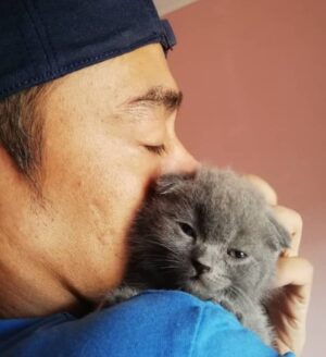 Sham Visa Instagram - Stress nak hafal lirik lagu rap ni, abg sham rehat jab layan kucing kesayangan. Nak serap semangat kucing utk senang nak hafal.. 😬😭
.
#MindOrder #MindOrderManagement #ShamVisa #ShamxMindOrder #ShamGV19 #GegarVaganza2019 #GV6 #shamvengers @shamvengers @mindorder