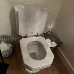 Shane Madej Instagram - Past couple weeks starting with the most coffee I’ve ever spilled on myself and including a picture of a toilet that looked pleasing.