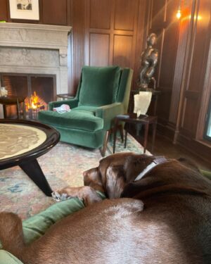 Shane Smith Instagram - Just sittin w my dog by the fire.