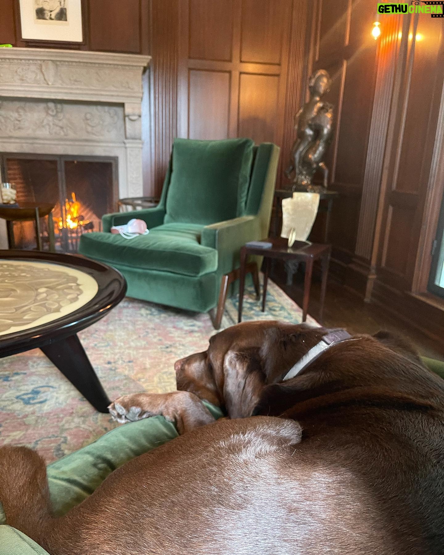 Shane Smith - 1.1K Likes - Just sittin w my dog by the fire.