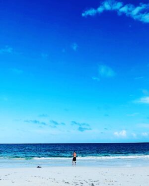 Shane Smith Instagram - Find the cove. Don’t leave the cove. Never venture from the cove. Outside is only darkness.