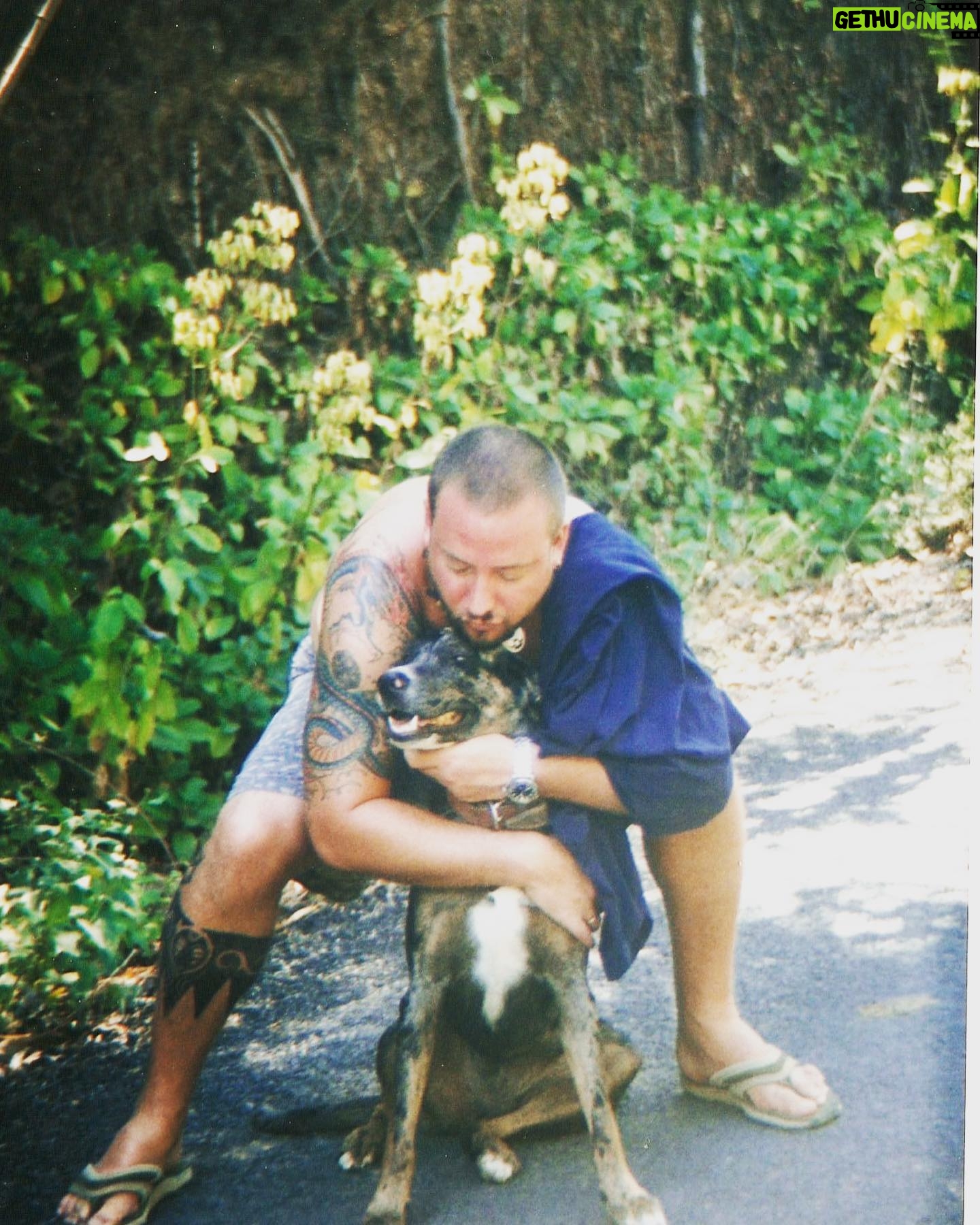 Shane Smith - 2.7K Likes - TBT my younger days. Now I just miss Costa Rica. I miss my youth. But mostly I miss my dog. RIP Tracey. You were beautiful.