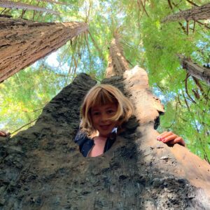 Shane Smith Instagram - Up in the trees in Big Sur.