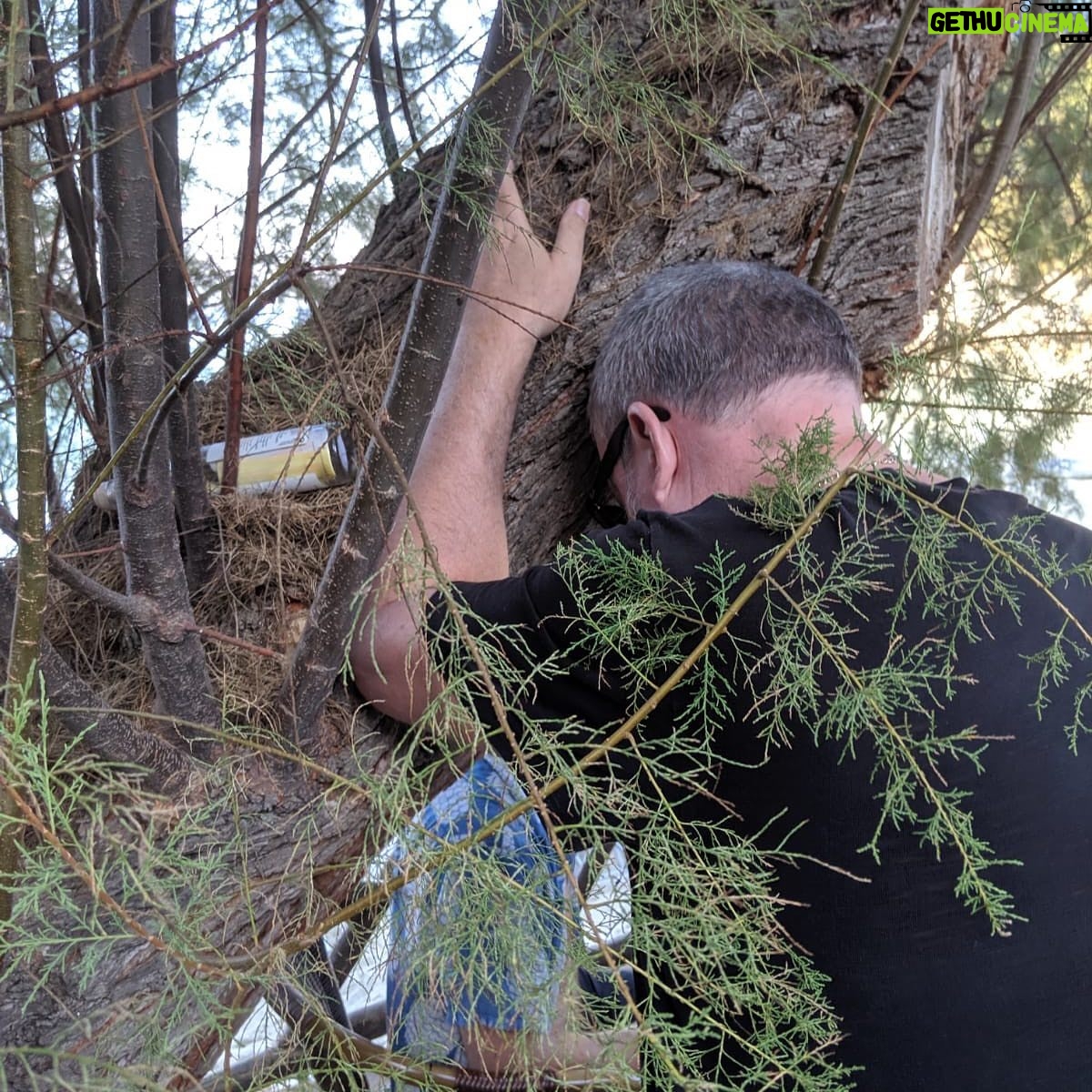 Shane Smith - 623 Likes - I went to the wishing tree.