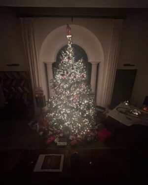 Shane Smith Instagram - Merry Chrimbo Errybody!!!!