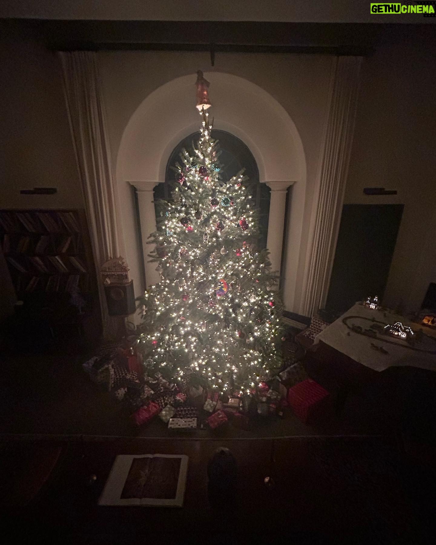 Shane Smith - 394 Likes - Merry Chrimbo Errybody!!!!