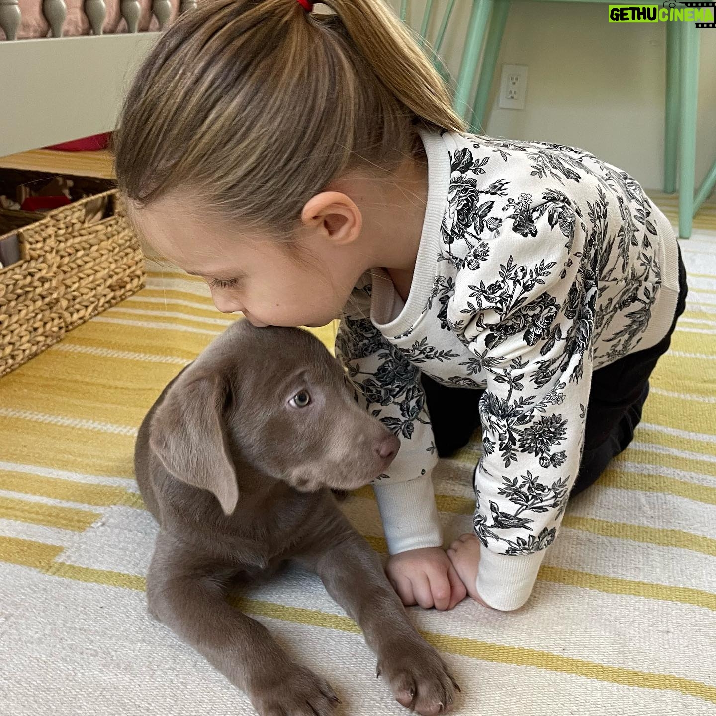 Shane Smith - 564 Likes - The Newest member of the fam. Emerson’s new brother Fletcher Smith.