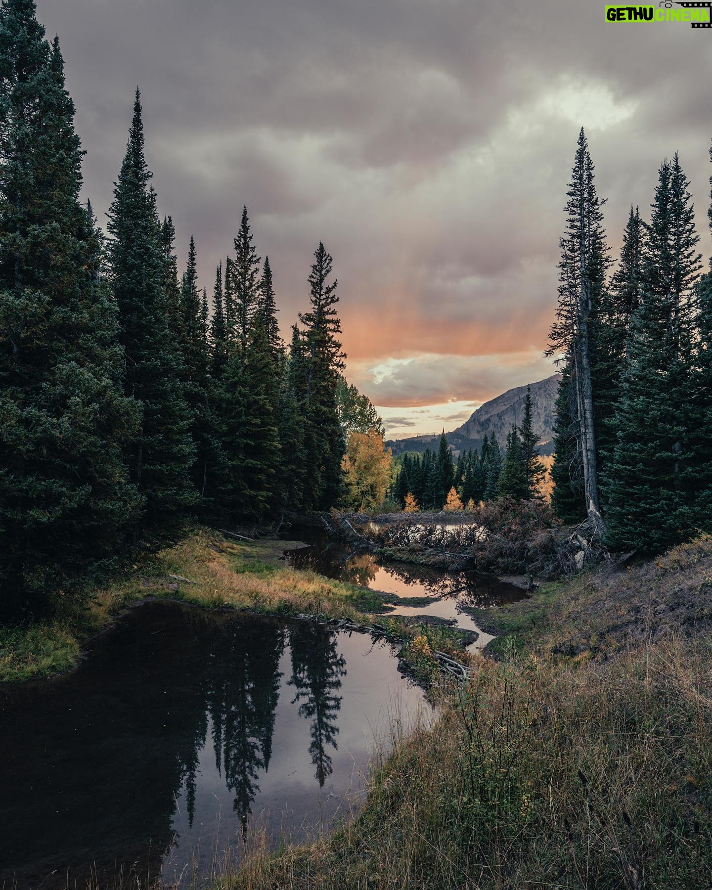 Shanley Caswell - 1.2K Likes - fall was felt