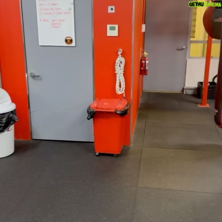 Shannon O'Connell - 766 Likes - Daaaamn it felt good to punch again 😍 #shotgunshannonoconnell #shotgunloading #boxing #postshoulderreplacement #theboxingshop