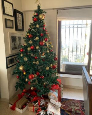 Sharman Joshi Instagram - Its the Best time of the Year

Merry Christmas 

#christmaseve #merrychristmas #happyholidays #december #happiness #joy