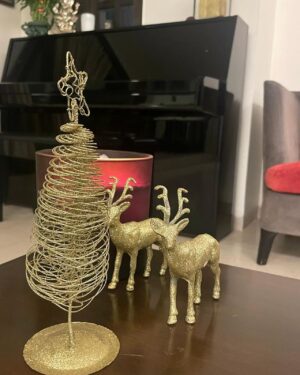Sharman Joshi Instagram - Its the Best time of the Year

Merry Christmas 

#christmaseve #merrychristmas #happyholidays #december #happiness #joy